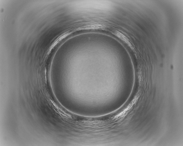 X0000059250781200510141127