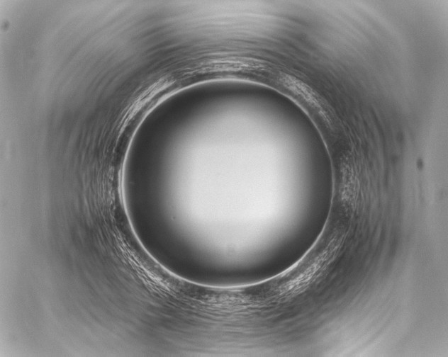 X0000059250786200510141127