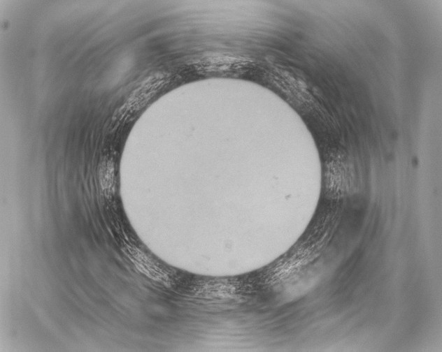 X0000059250820200510141126