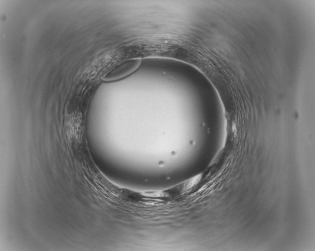 X0000059250867200510141126