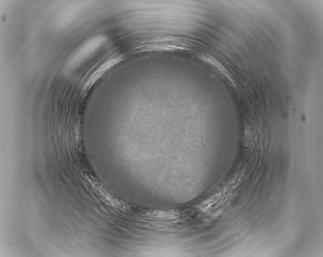 X0000059250874200510141126
