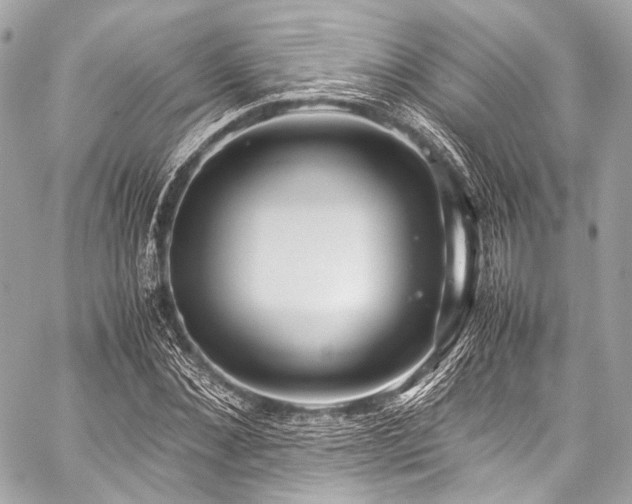 X0000059250876200510141125