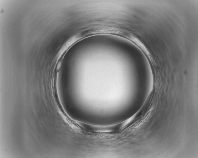 X0000059250909200510141125