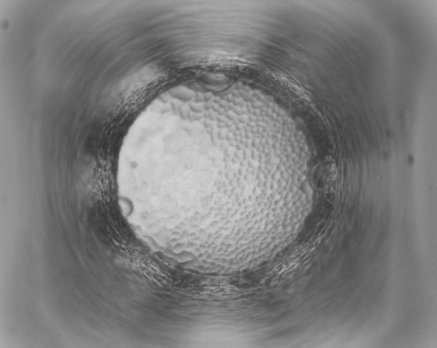 X0000059250918200510141124