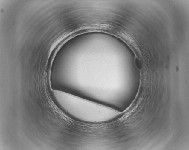 X0000059250928200510141124