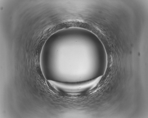 X0000059250965200510141124