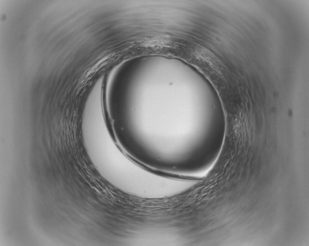 X0000059250968200510141124