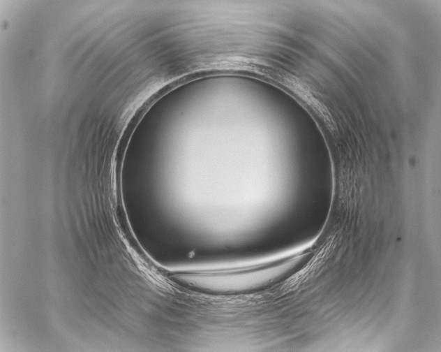 X0000059250988200510141124