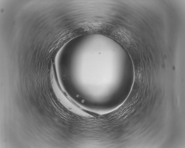 X0000059251012200510141122
