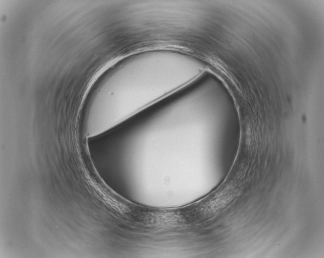 X0000059251024200510141123