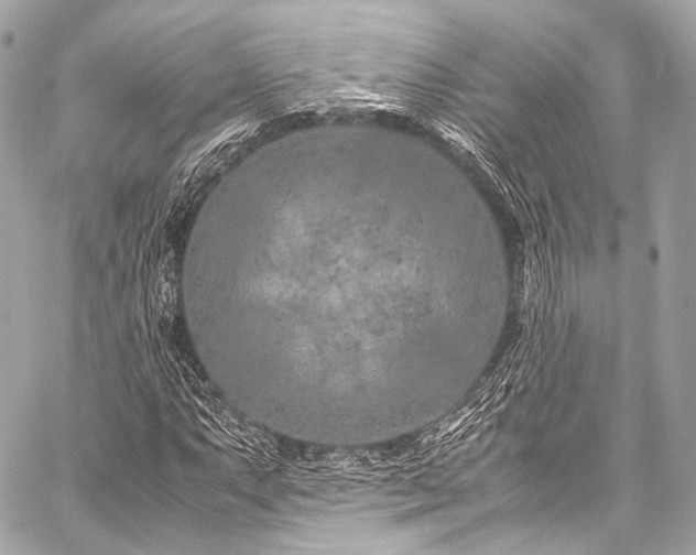 X0000059251063200510141122