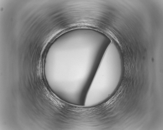X0000059251076200510141122