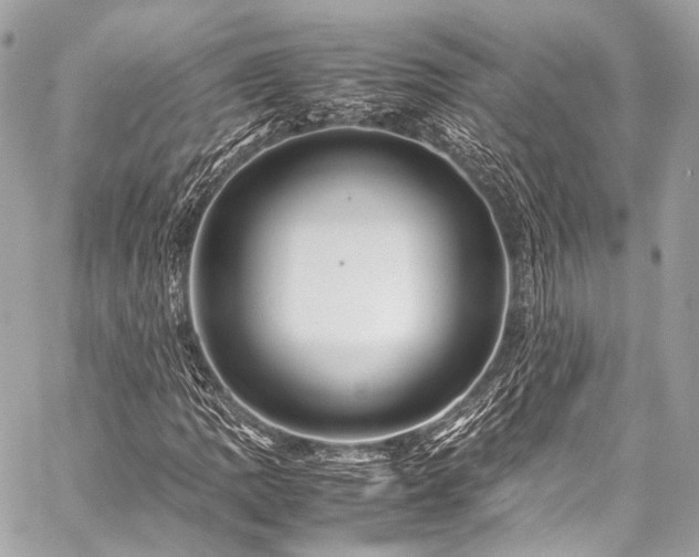 X0000059251109200510141121