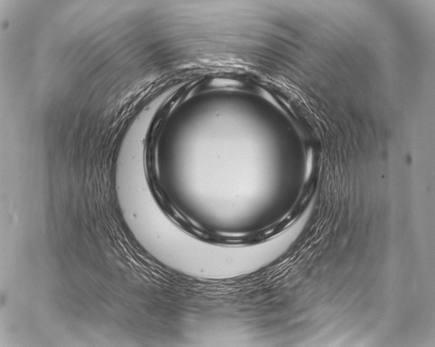 X0000059251110200510141121