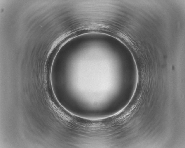 X0000059251122200510141121