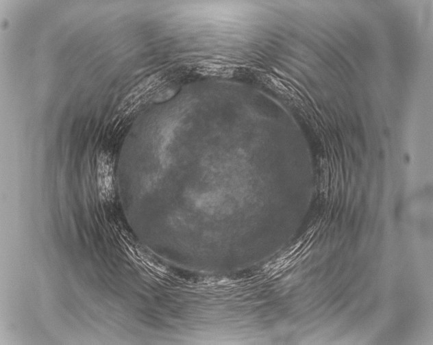 X0000059251154200510141121