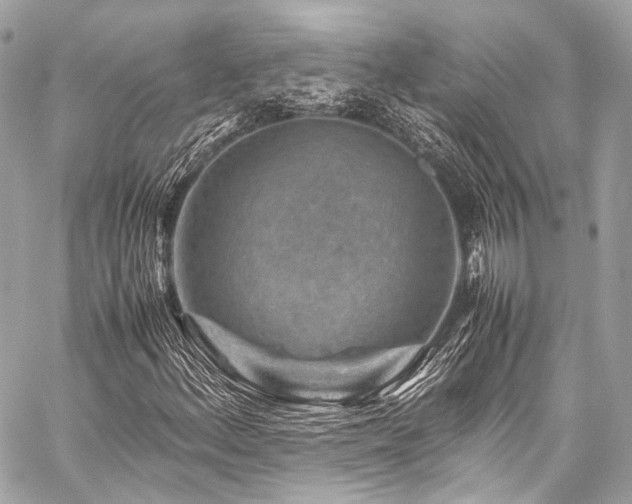 X0000059251156200510141121