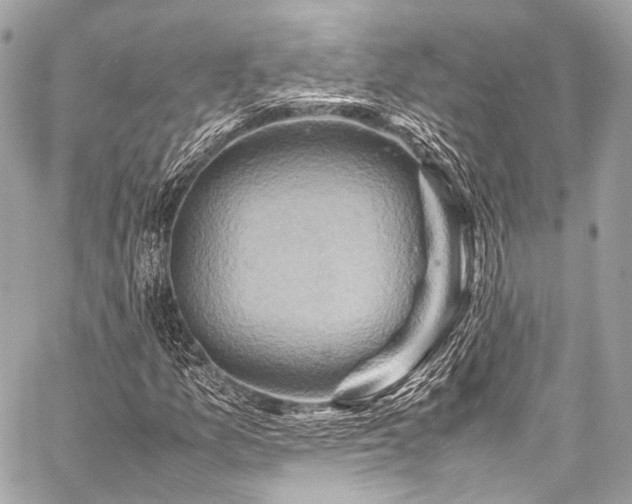 X0000059251157200510141121