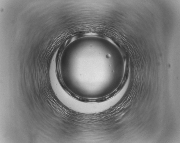 X0000059251202200510141119