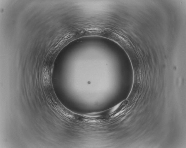X0000059251298200510141118