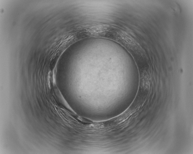 X0000059251346200510141118