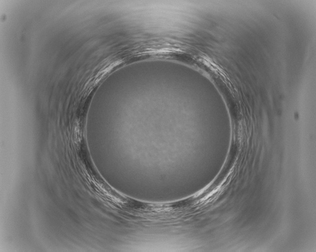 X0000059251353200510141118