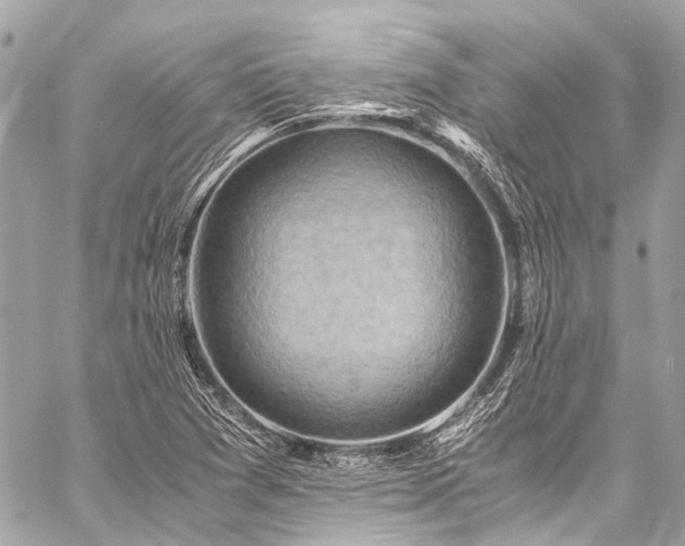 X0000059251361200510141117