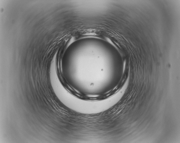 X0000059251394200510141116