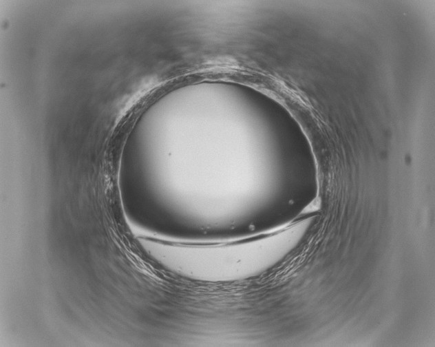X0000059251400200510141116