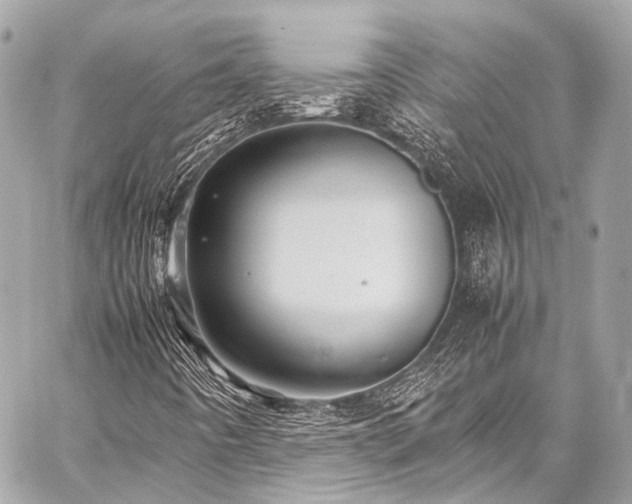 X0000059251442200510141116