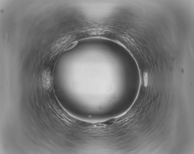 X0000059251444200510141116