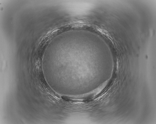 X0000059251445200510141116