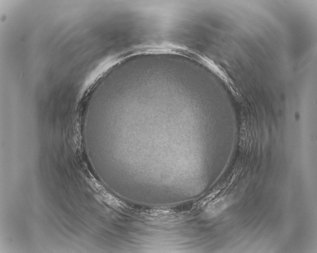 X0000059251456200510141116