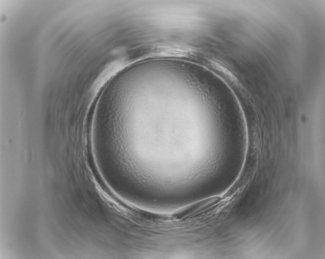 X0000059251471200510141116