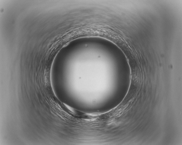 X0000059251490200510141115