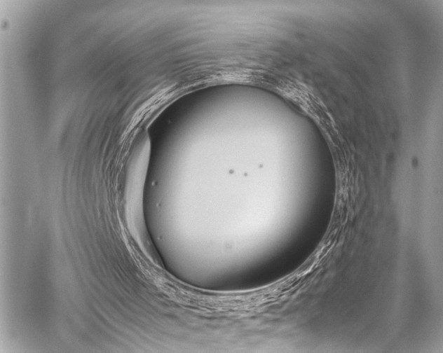 X0000059250001200510171509