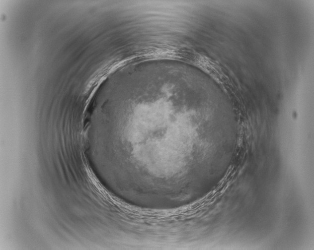 X0000059250002200510171509