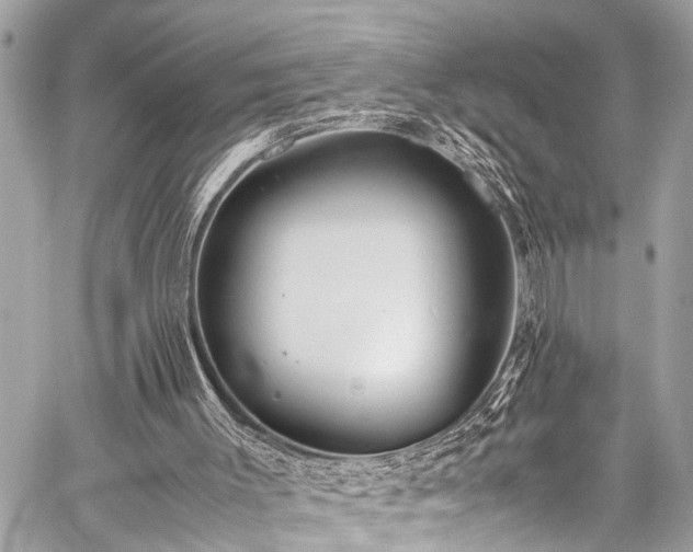 X0000059250003200510171509