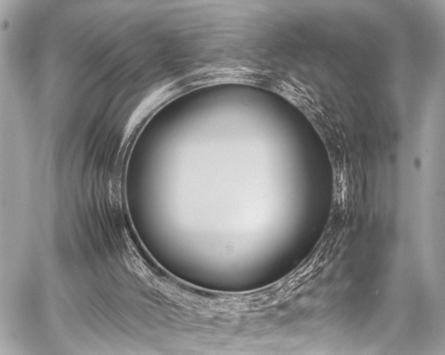 X0000059250004200510171509