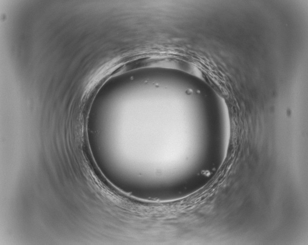 X0000059250005200510171509