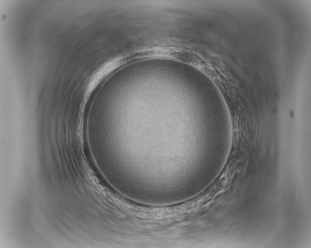 X0000059250006200510171509