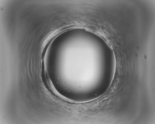 X0000059250007200510171509