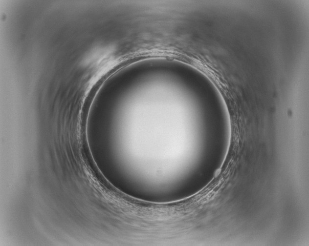 X0000059250008200510171509