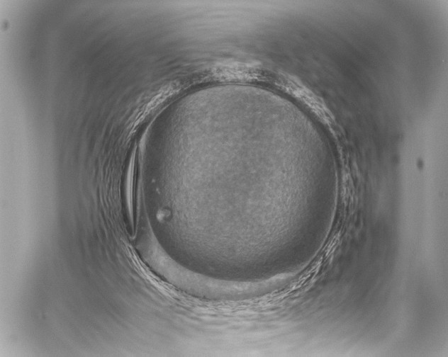 X0000059250009200510171509