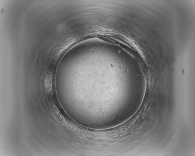 X0000059250010200510171509