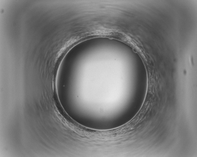 X0000059250011200510171509