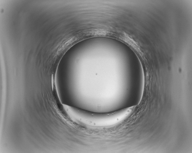 X0000059250013200510171509