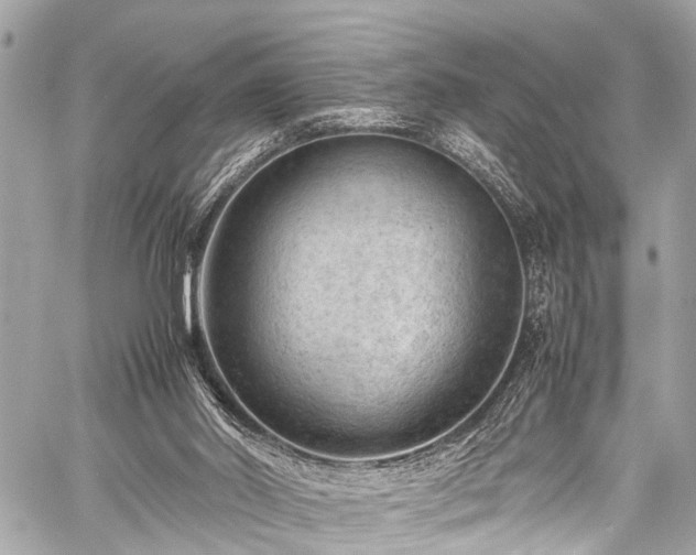 X0000059250014200510171509