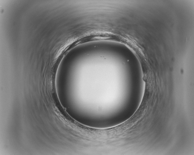 X0000059250015200510171509