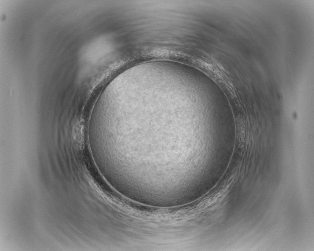 X0000059250016200510171509